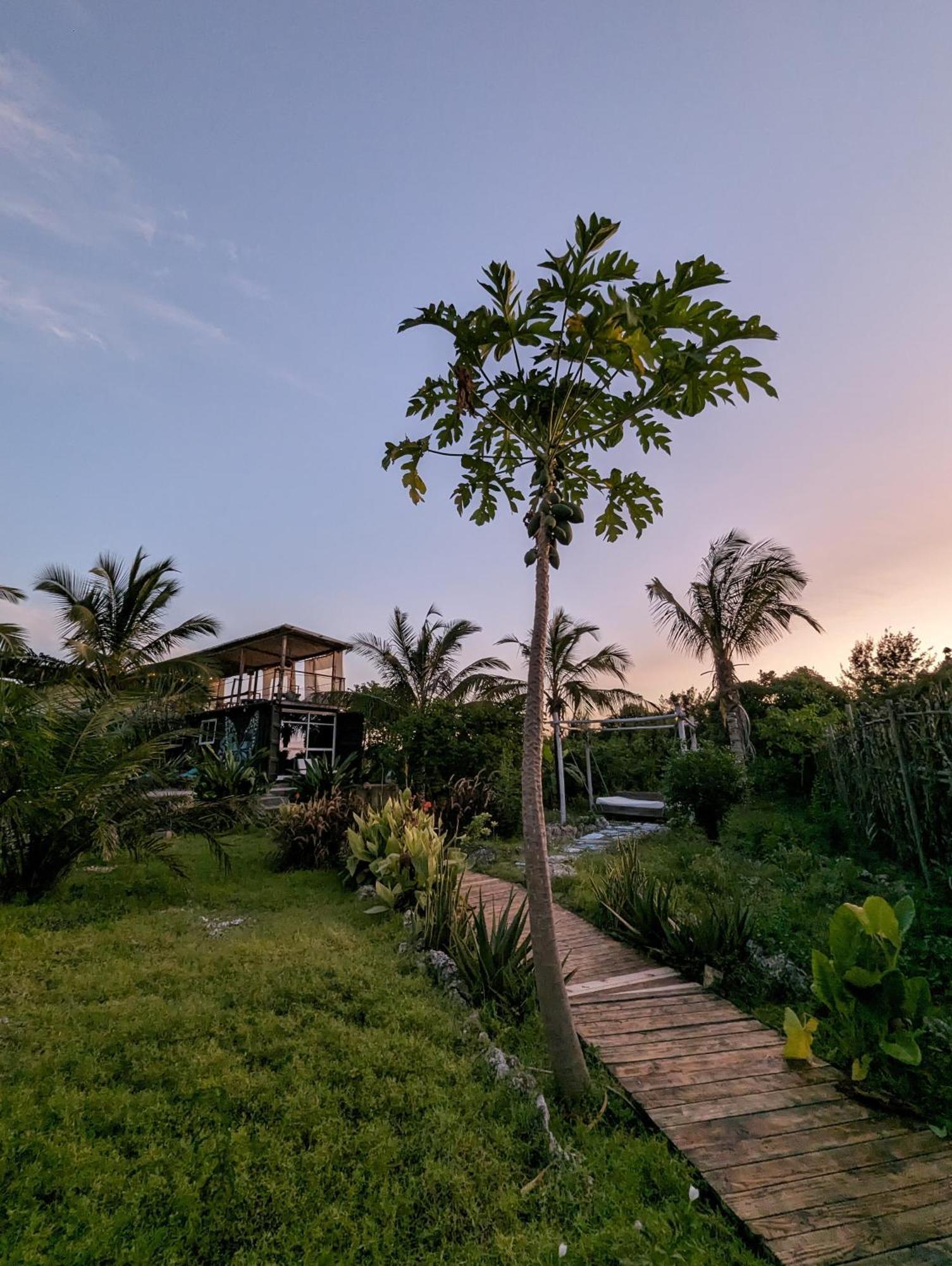 Jambiani Backpackers Hostel Zewnętrze zdjęcie